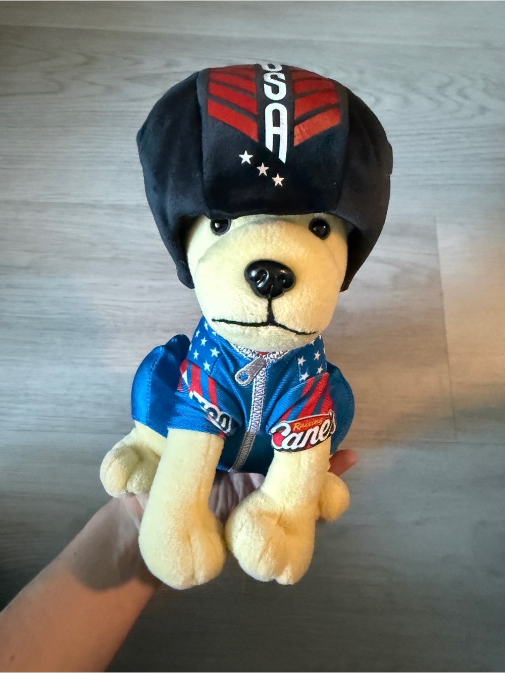 Raising Canes 2026 Limited Edition Olympics Team USA Plush Pup Dog No Bob Sled